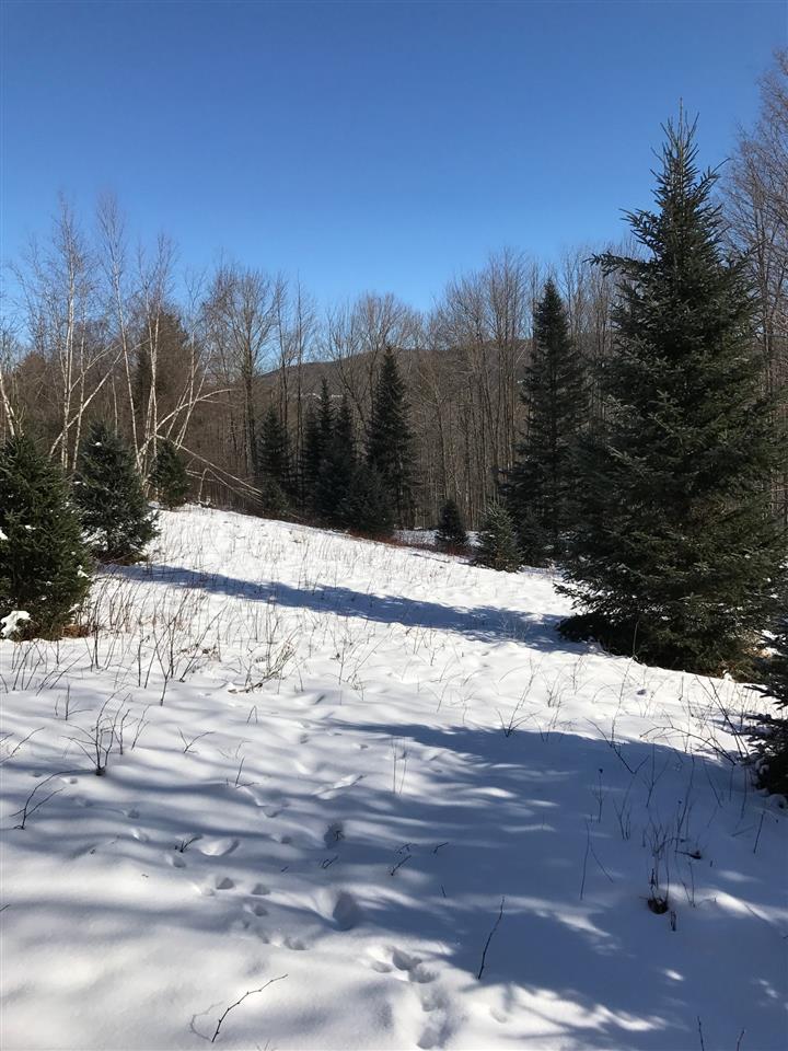 18 Mt Vista Road Underhill, VT 05489 - Photo 6 of 18 Gallery Image 6