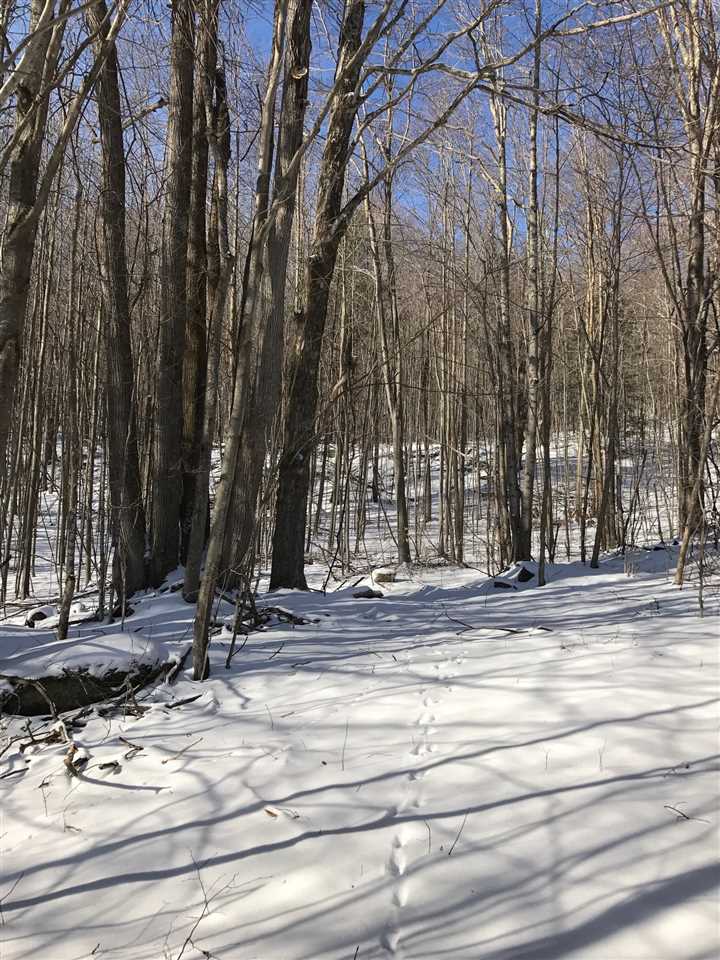 18 Mt Vista Road Underhill, VT 05489 - Photo 7 of 18 Gallery Image 7