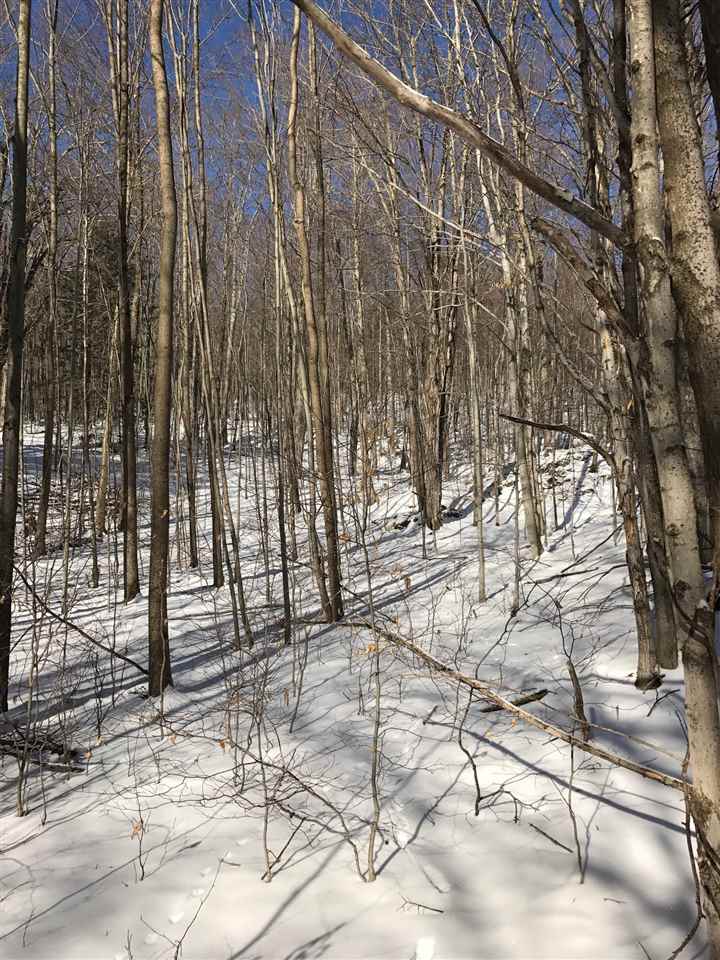 18 Mt Vista Road Underhill, VT 05489 - Photo 8 of 18 Gallery Image 8