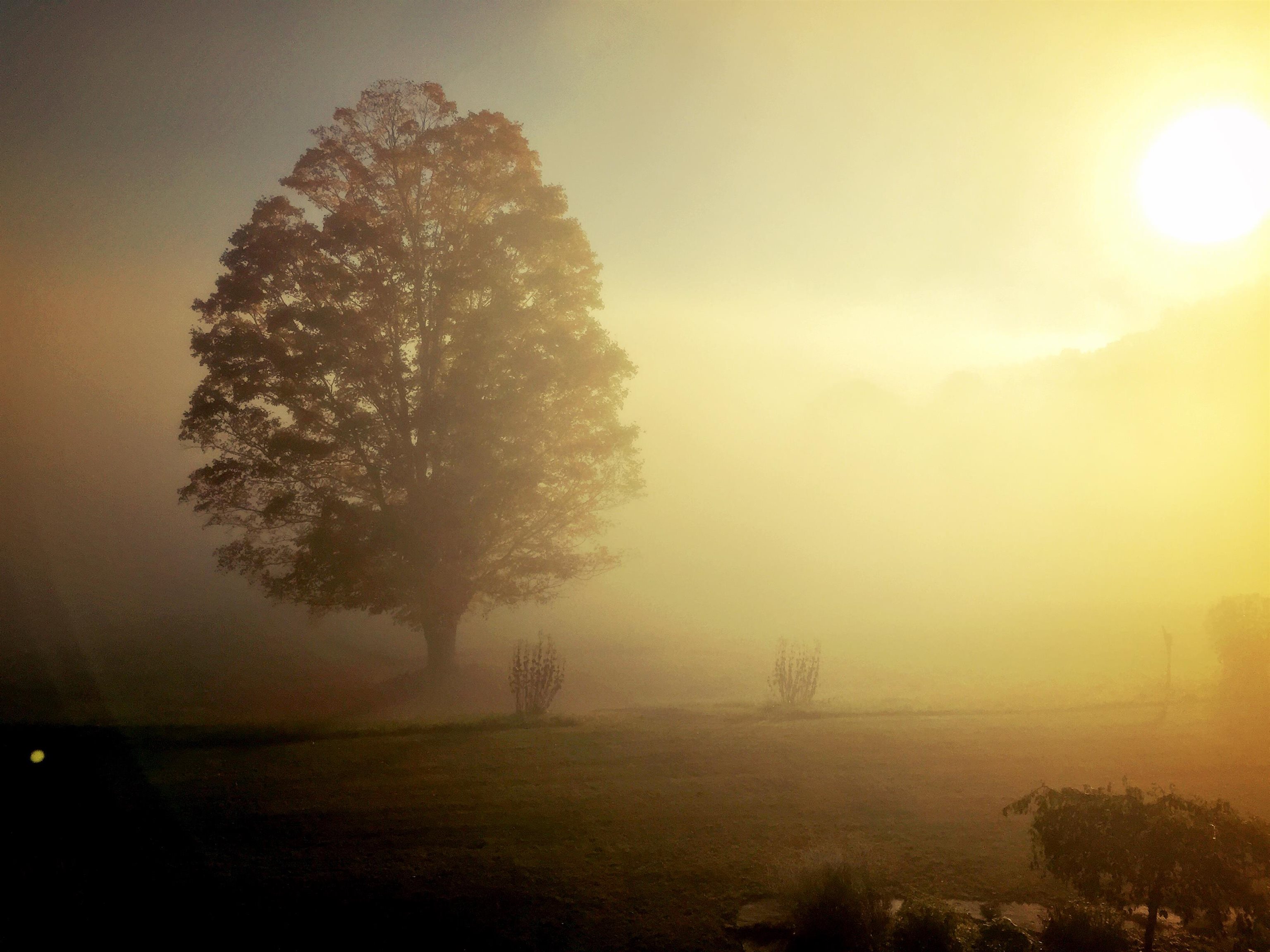1324 Middle Road Dummerston, VT 05301 - Photo 51 of 54