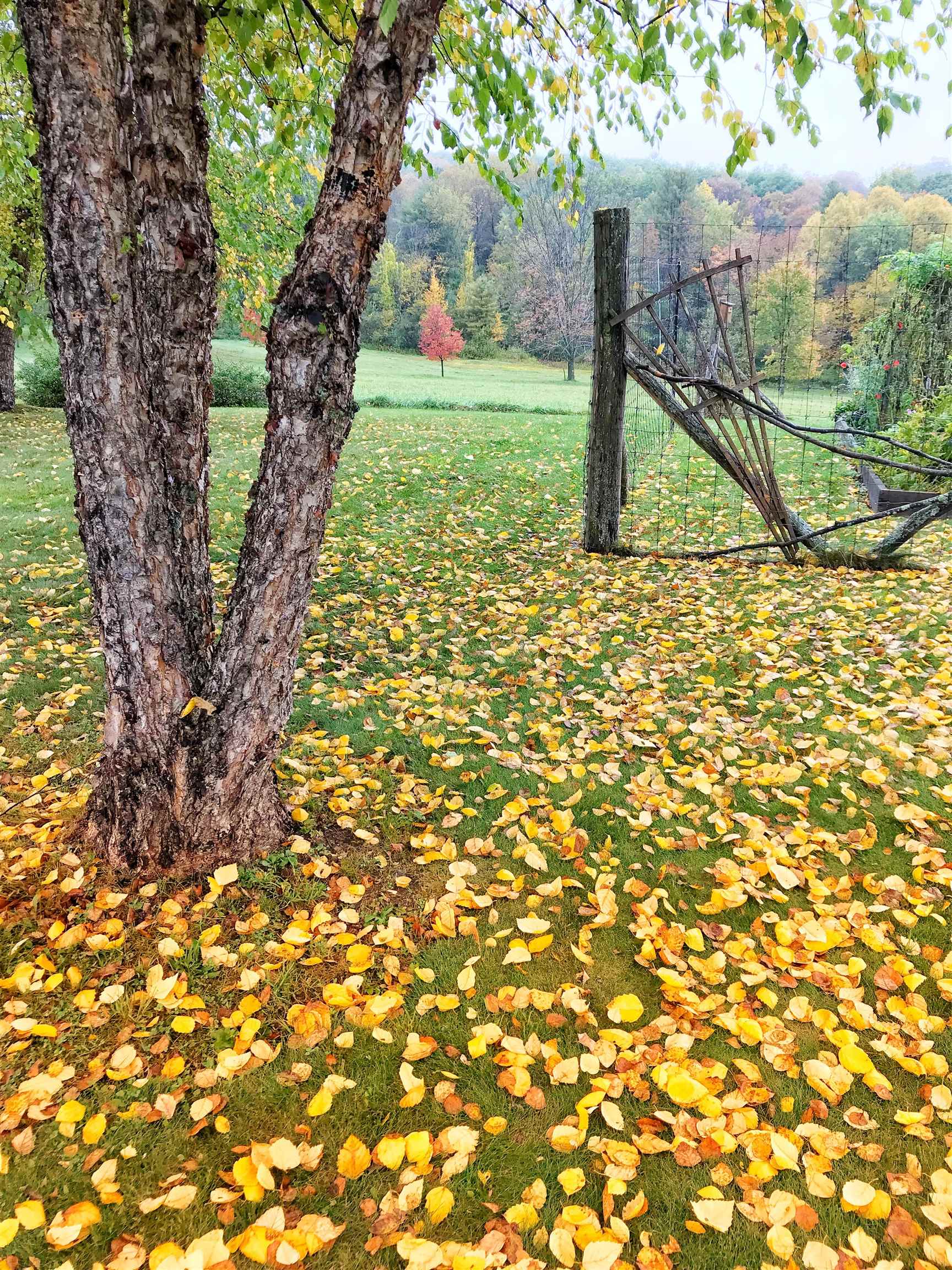 1324 Middle Road Dummerston, VT 05301 - Photo 52 of 54