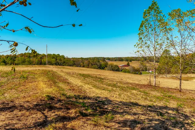 a view of an ocean beach