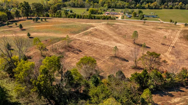 an outdoor space with large trees