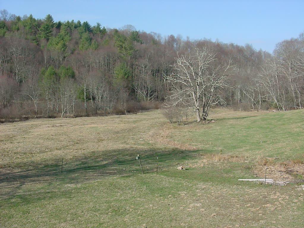 3275 Conner Grove Road Southwest Willis, VA 24380 - Photo 2 of 17 a view of dirt field with trees in background