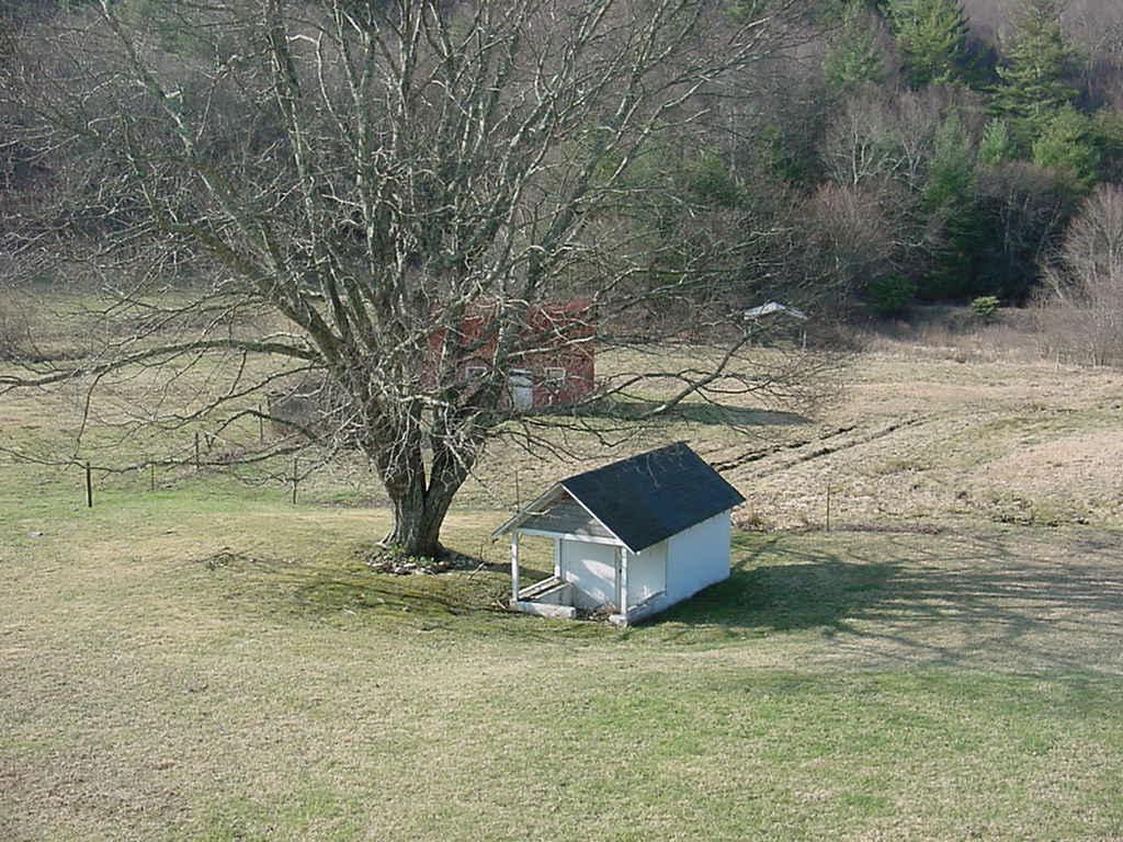 3275 Conner Grove Road Southwest Willis, VA 24380 - Photo 3 of 17 a view of a yard with an outdoor space