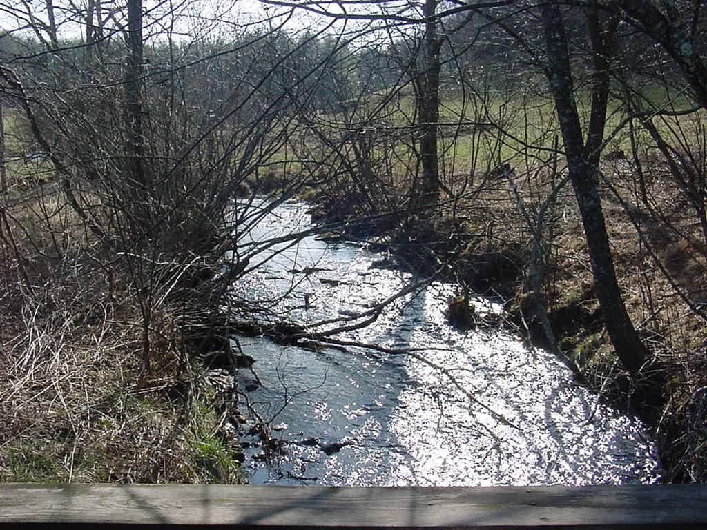 3275 Conner Grove Road Southwest Willis, VA 24380 - Photo 4 of 17 a view of a yard