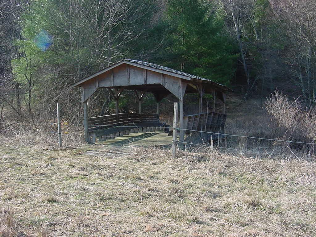 3275 Conner Grove Road Southwest Willis, VA 24380 - Photo 5 of 17 a view of wooden house with a yard and large trees