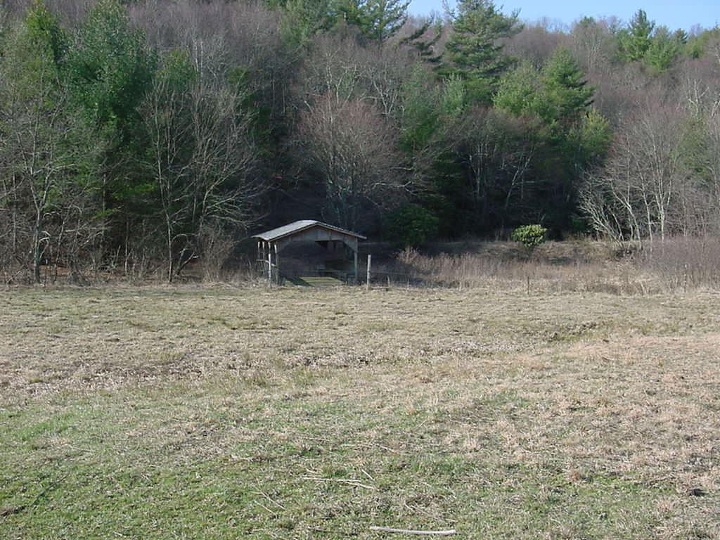 3275 Conner Grove Road Southwest Willis, VA 24380 - Photo 6 of 17 a backyard of a house with lots of green space