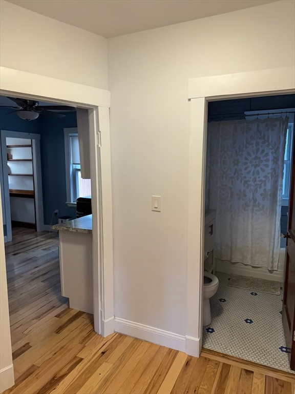 695-697 Adams Street, Unit 1 Boston, MA 02122 - Photo 9 of 9