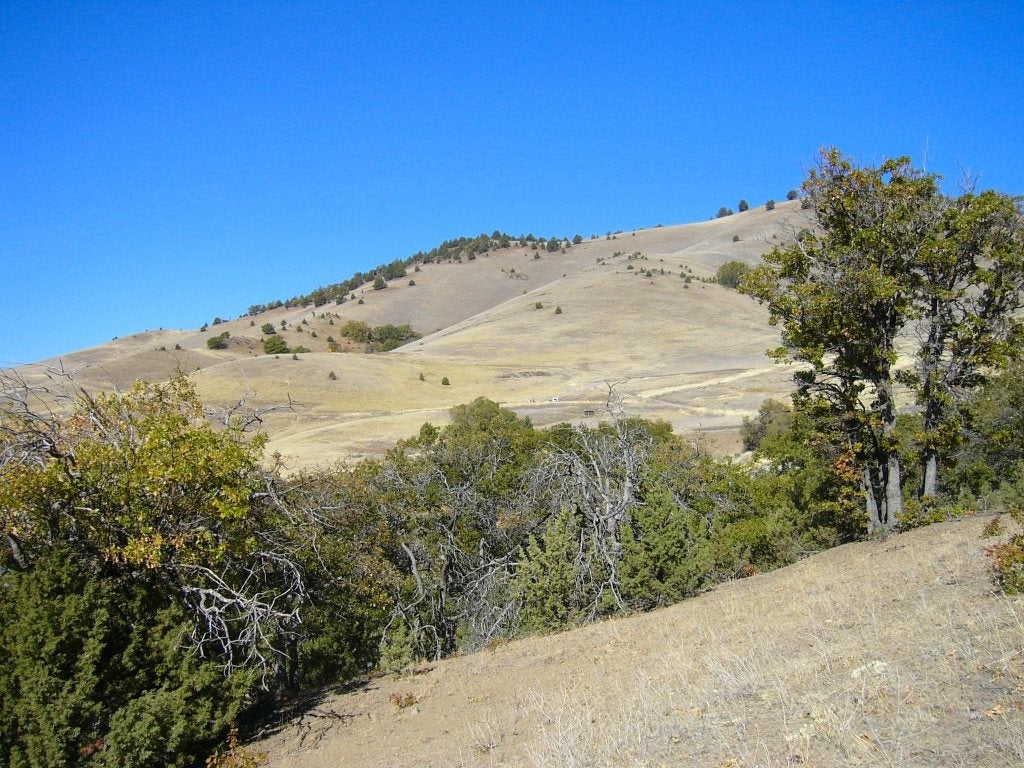 41 Acres Faith Road Montague, CA 96064 - Photo 8 of 14 Gallery Image 8