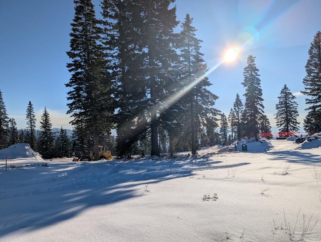 Lot 5 North Loop Road, Unit 5 New Meadows, ID 83654 - Photo 14 of 19