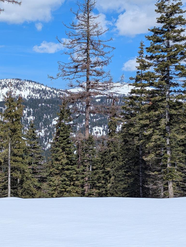 Lot 5 North Loop Road, Unit 5 New Meadows, ID 83654 - Photo 16 of 19