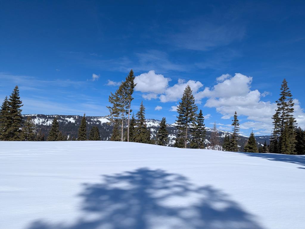 Lot 5 North Loop Road, Unit 5 New Meadows, ID 83654 - Photo 17 of 19