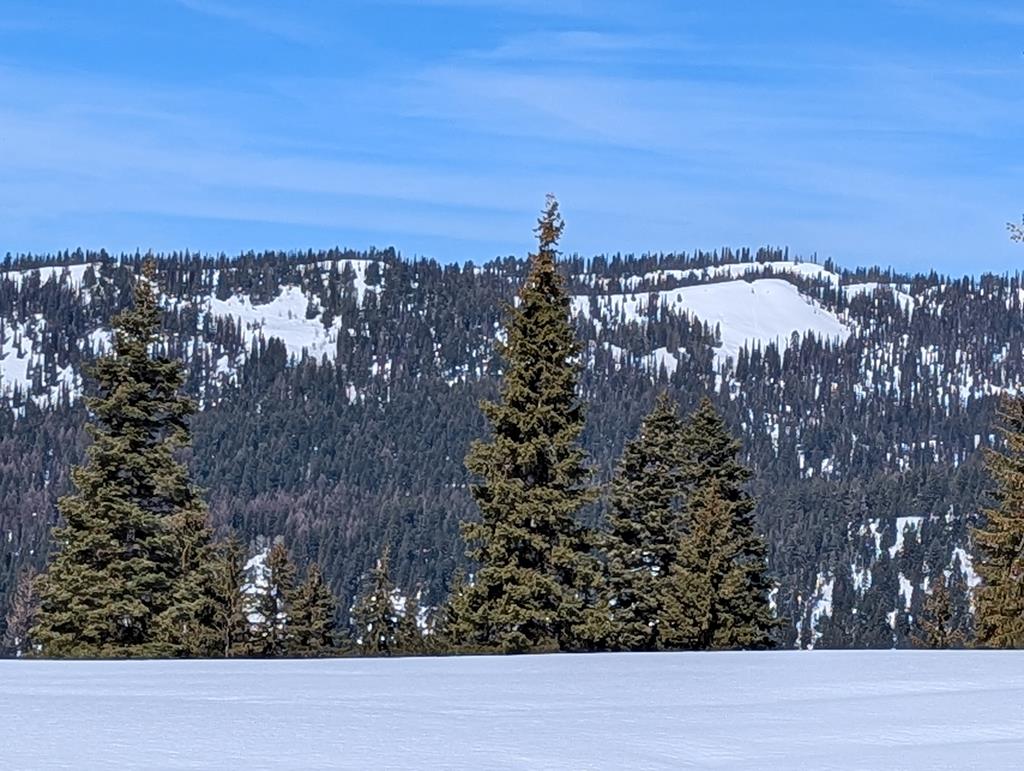 Lot 5 North Loop Road, Unit 5 New Meadows, ID 83654 - Photo 18 of 19