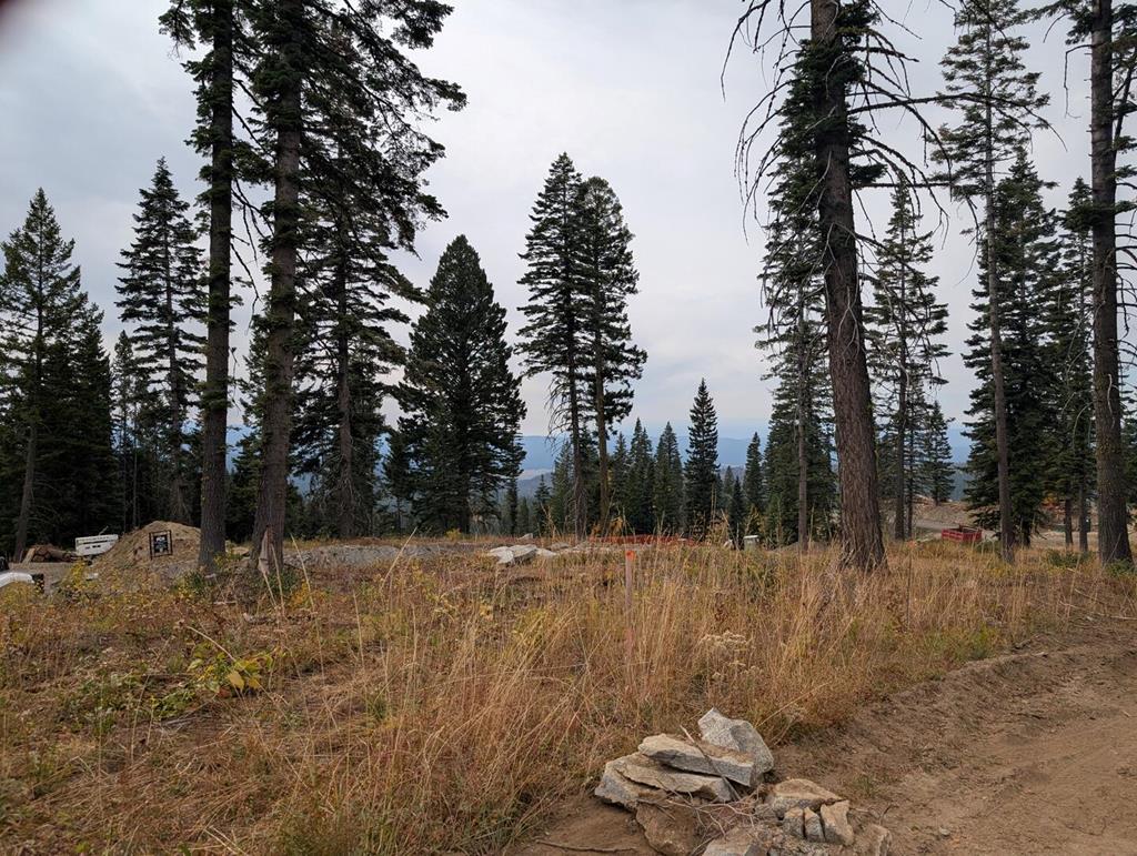 Lot 5 North Loop Road, Unit 5 New Meadows, ID 83654 - Photo 19 of 19