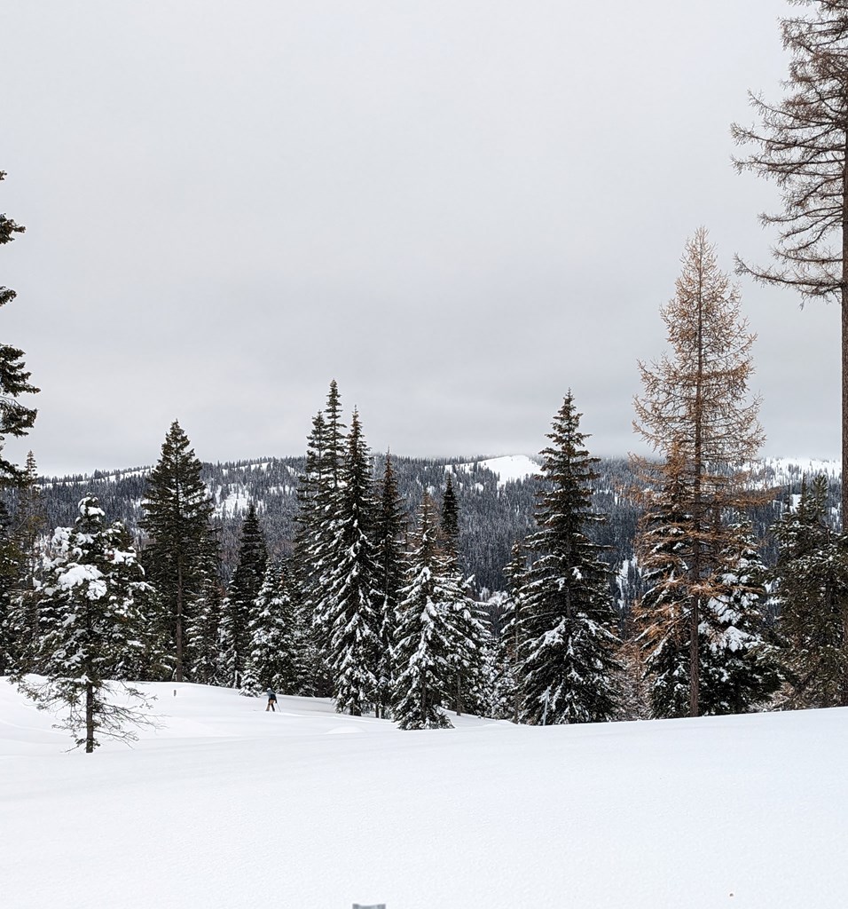 Lot 5 North Loop Road, Unit 5 New Meadows, ID 83654 - Photo 2 of 19