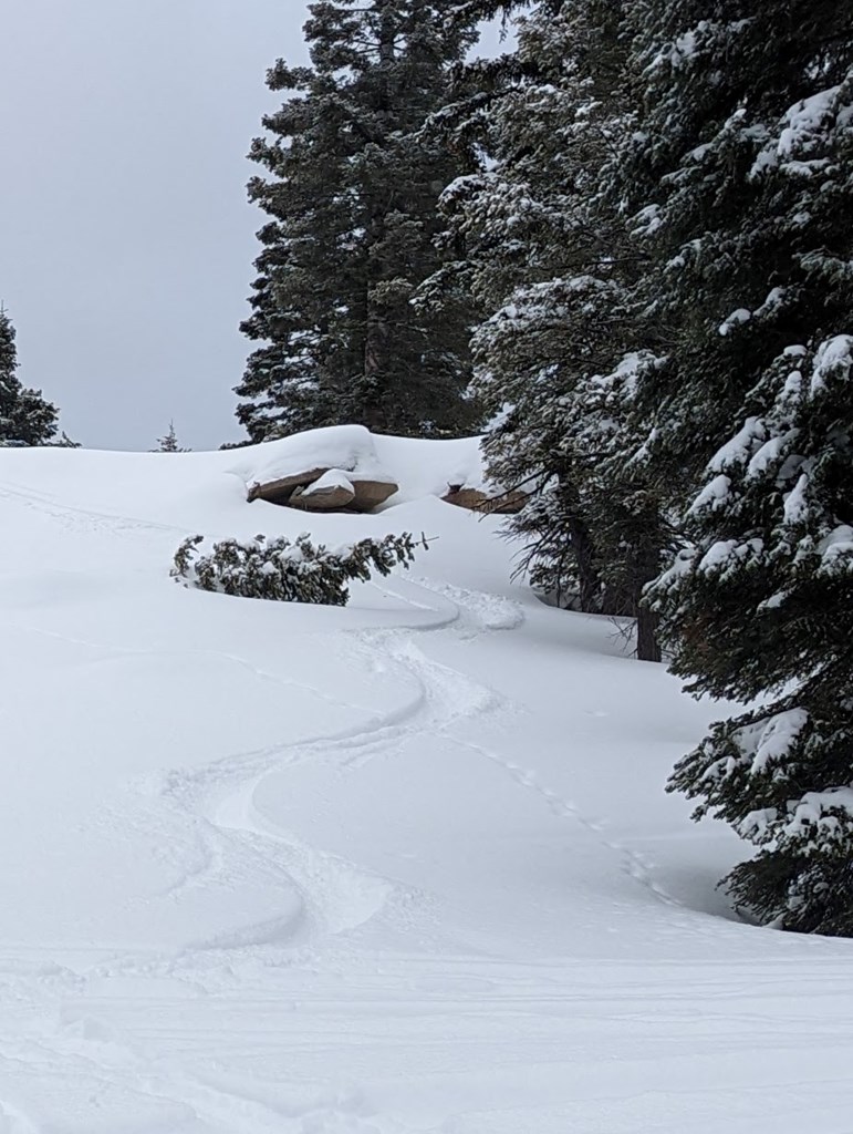 Lot 5 North Loop Road, Unit 5 New Meadows, ID 83654 - Photo 3 of 19