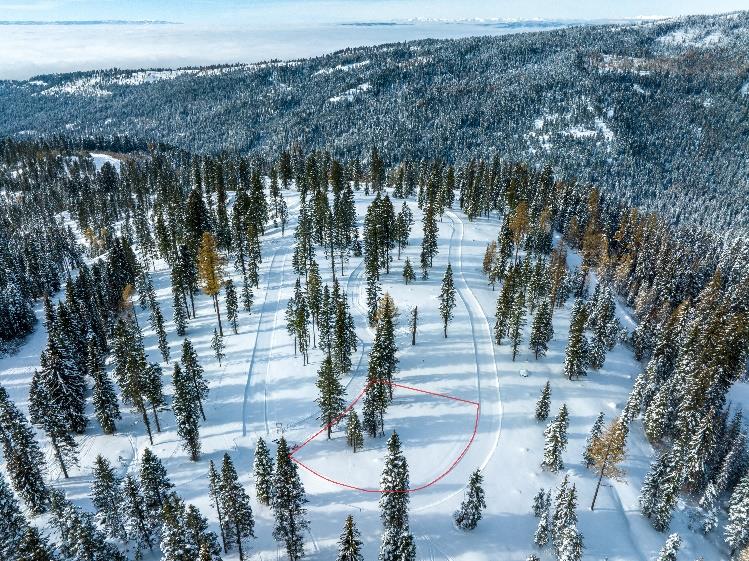 Lot 5 North Loop Road, Unit 5 New Meadows, ID 83654 - Photo 5 of 19