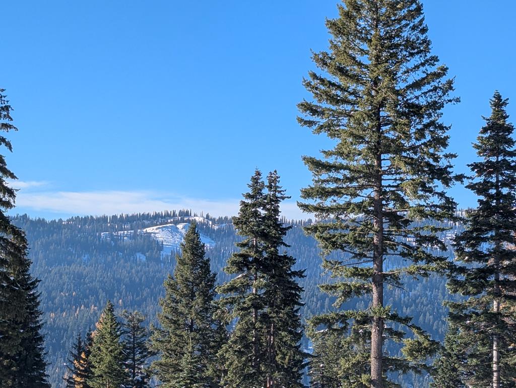 Lot 5 North Loop Road, Unit 5 New Meadows, ID 83654 - Photo 7 of 19