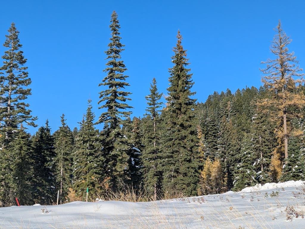 Lot 5 North Loop Road, Unit 5 New Meadows, ID 83654 - Photo 9 of 19