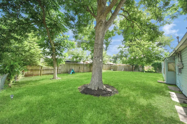 a view of a backyard with large trees and plants
