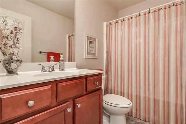 a bathroom with a sink and a toilet