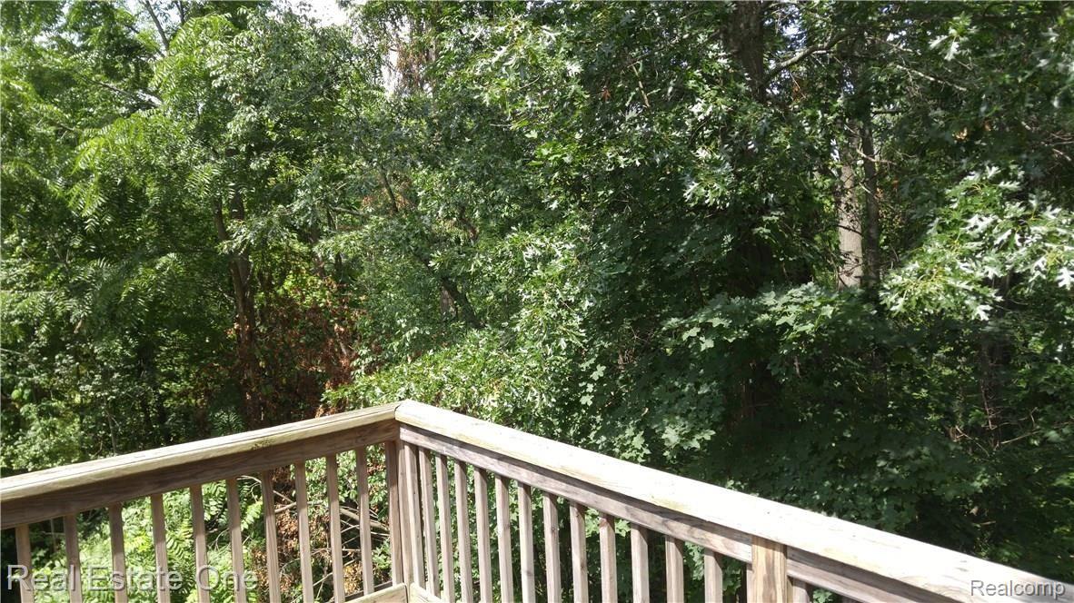 143 Eagle Ridge Road Lake Orion, MI 48360 - Photo 17 of 17 143 Eagle Ridge Back Yard View.jpg