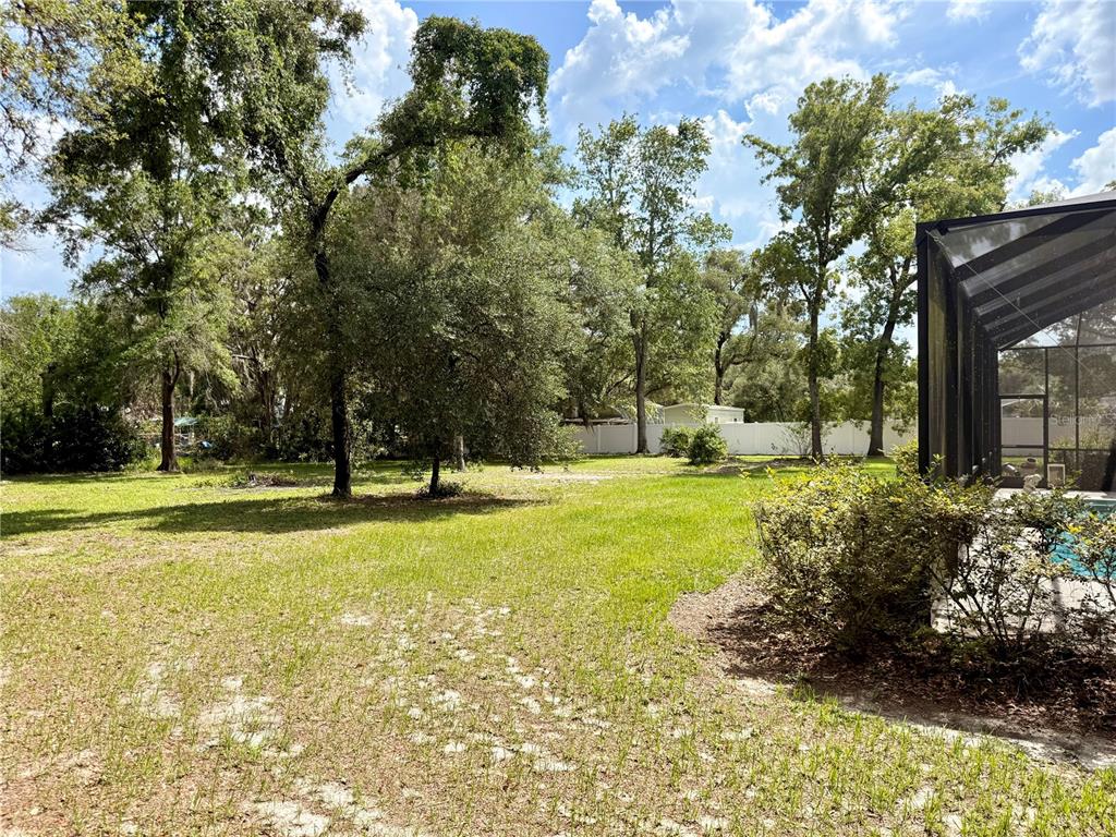13110 Bamboo Street Spring Hill, FL 34609 - Photo 46 of 56 a view of swimming pool with outdoor seating and trees