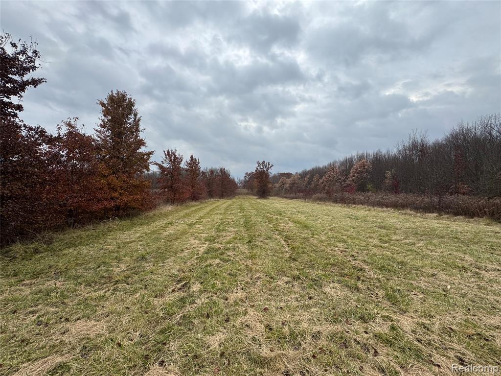 1 Remer Road East China, MI 48054 - Photo 9 of 14