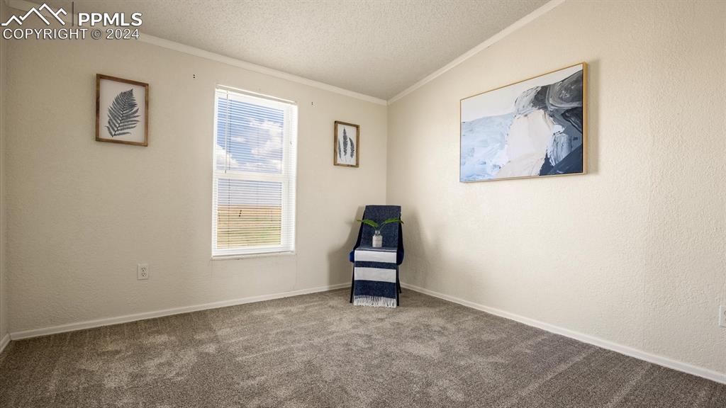36925 Shear Road Yoder, CO 80864 - Photo 23 of 34 an empty room with windows