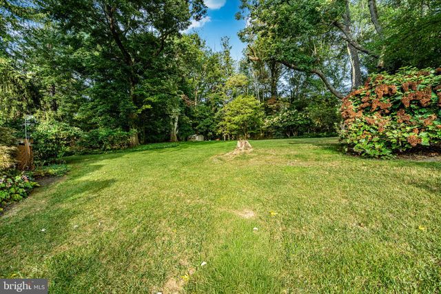 view of a yard with plants