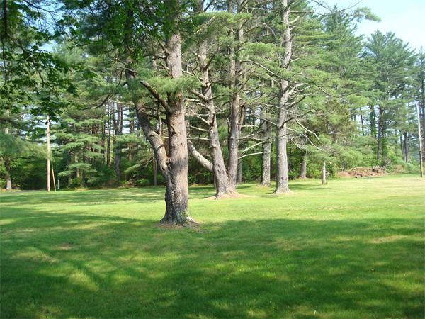 Lot 3 Wenham Road Carver, MA 02330 - Photo 2 of 2 Gallery Image 2