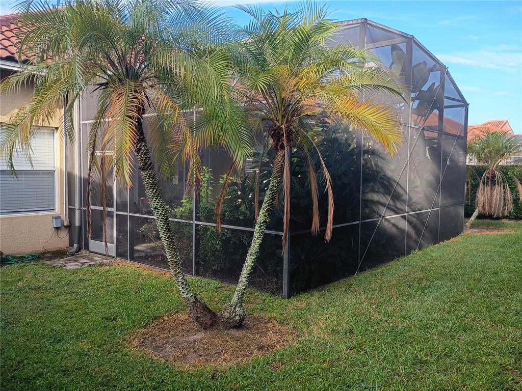 1626 Whitney Isles Drive Windermere, FL 34786 - Photo 3 of 8 a view of a backyard