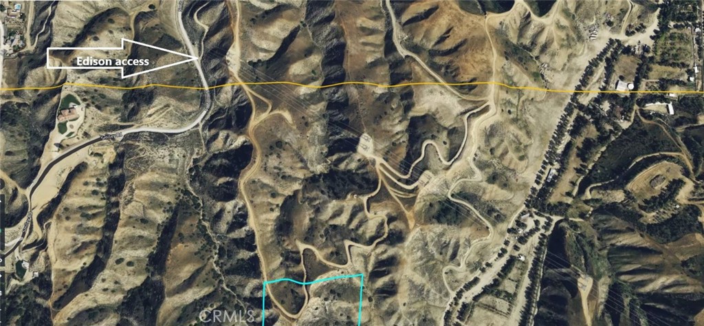 a close up of a shower curtain