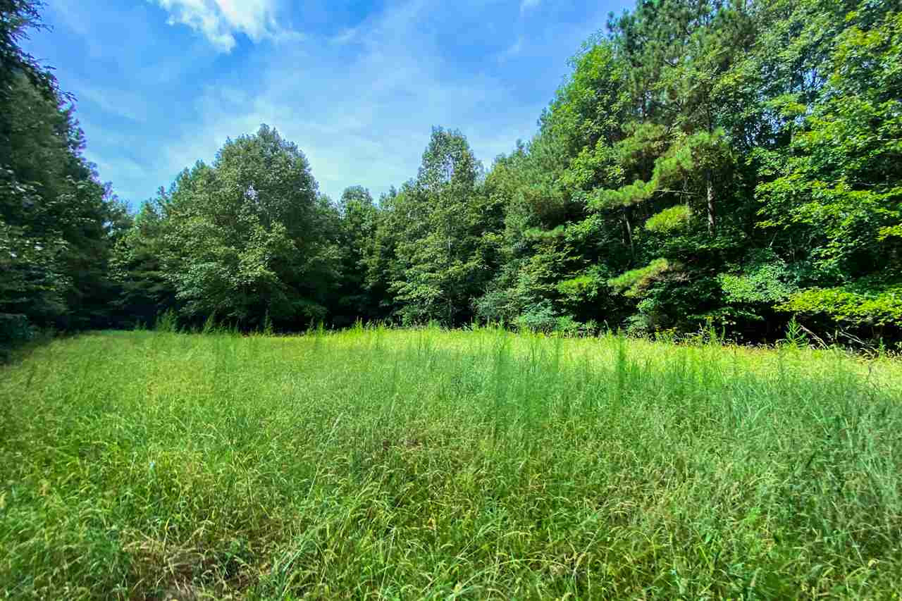 695 White Road Florence, MS 39073 - Photo 5 of 10 Photo 5