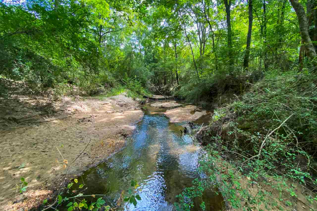 695 White Road Florence, MS 39073 - Photo 7 of 10 Photo 7