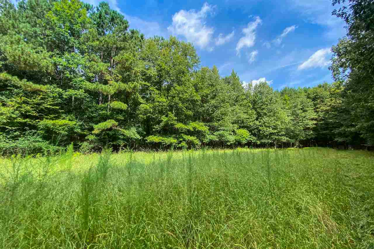 695 White Road Florence, MS 39073 - Photo 8 of 10 Photo 8