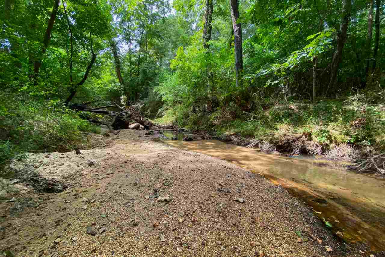 695 White Road Florence, MS 39073 - Photo 9 of 10 Photo 9