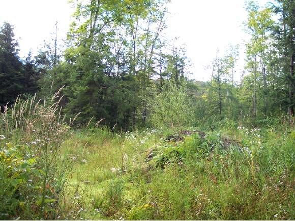 Wells Road Irasburg, VT 05845 - Photo 1 of 1
