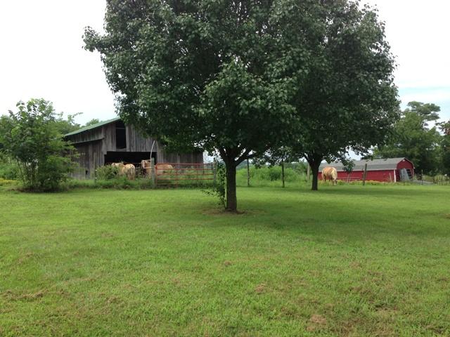 1311 Old Shannon Road Lebanon, TN 37090 - Photo 4 of 11 Gallery Image 4