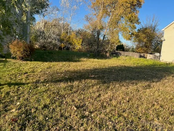 a view of a yard with a tree