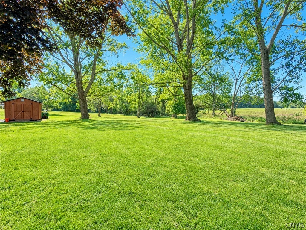 373 Luce Road Lansing, NY 13073 - Photo 35 of 35