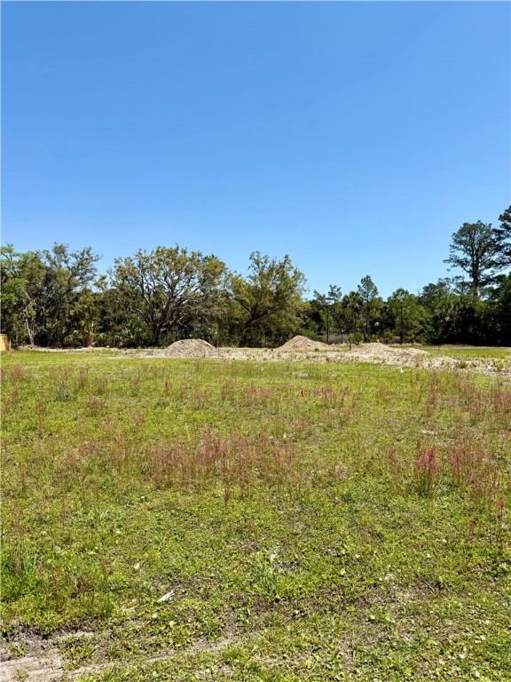 1139 River Oaks Road Brunswick, GA 31523 - Photo 11 of 18