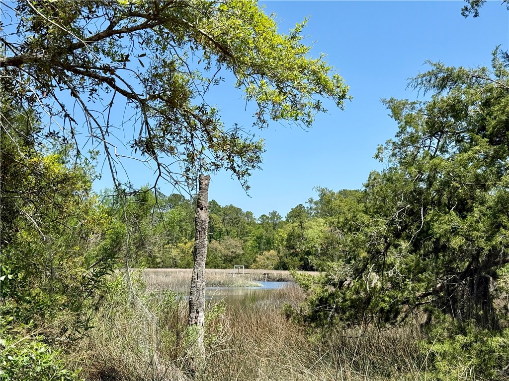 1139 River Oaks Road Brunswick, GA 31523 - Photo 13 of 18