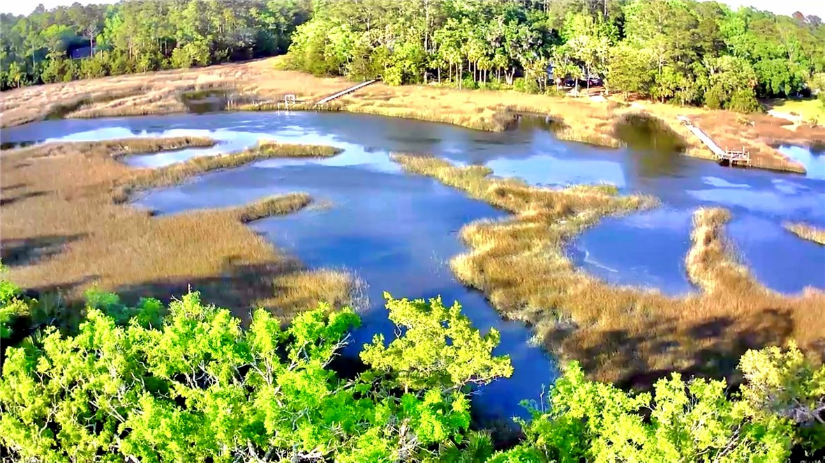 1139 River Oaks Road Brunswick, GA 31523 - Photo 3 of 18