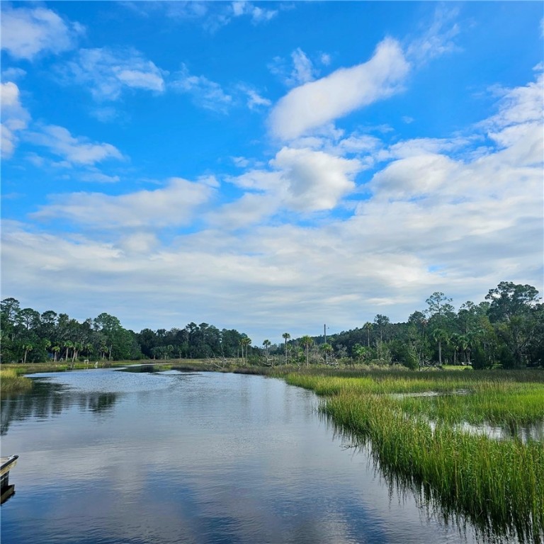 1139 River Oaks Road Brunswick, GA 31523 - Photo 7 of 18
