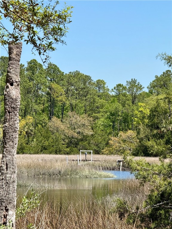1139 River Oaks Road Brunswick, GA 31523 - Photo 9 of 18