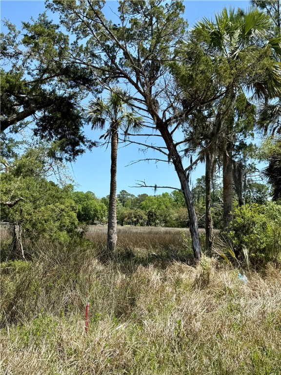 1139 River Oaks Road Brunswick, GA 31523 - Photo 10 of 18