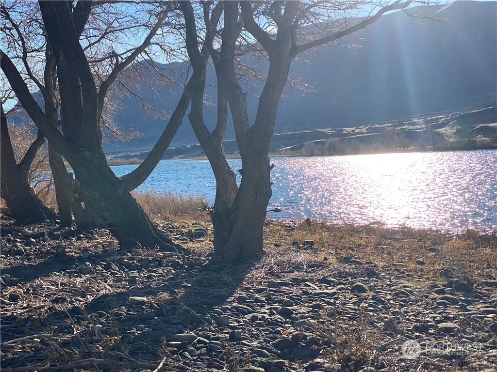 16154 Highway 243 Beverly, WA 99321 - Photo 13 of 37 a view of a yard with large trees