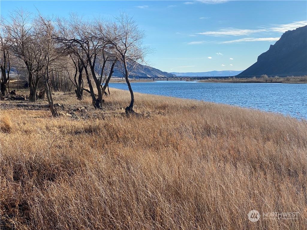 16154 Highway 243 Beverly, WA 99321 - Photo 15 of 37 a view of outdoor space with trees